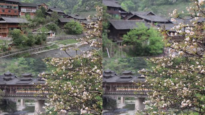 郎德苗寨 苗寨 吊脚楼 风雨桥 春天