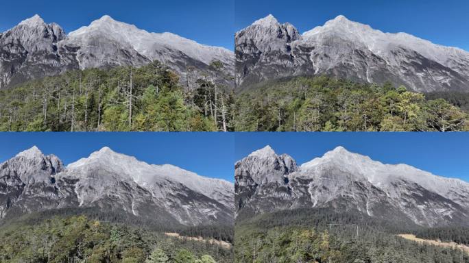 丽江玉龙雪山云杉坪航拍4k