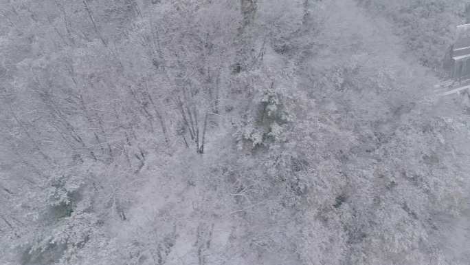 冬季大山雪景下雪空镜航拍