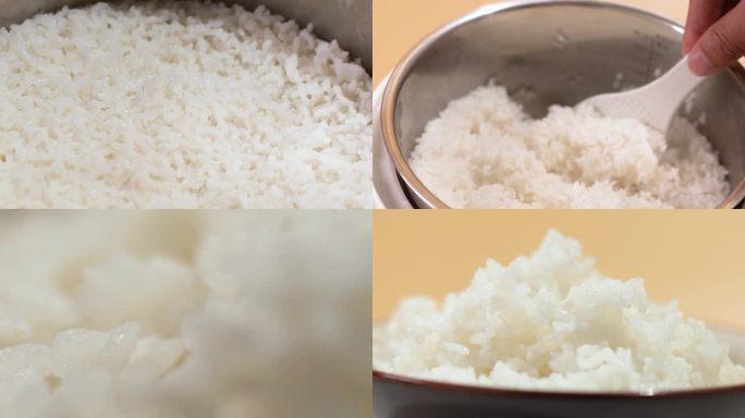 蒸立方蒸米饭东北五常大米主食米饭