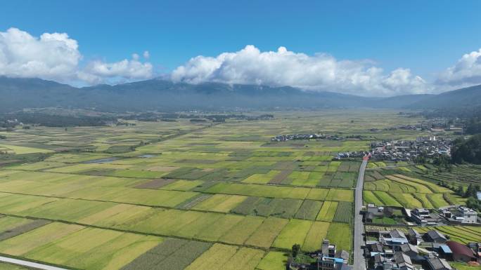 秋日田野延时