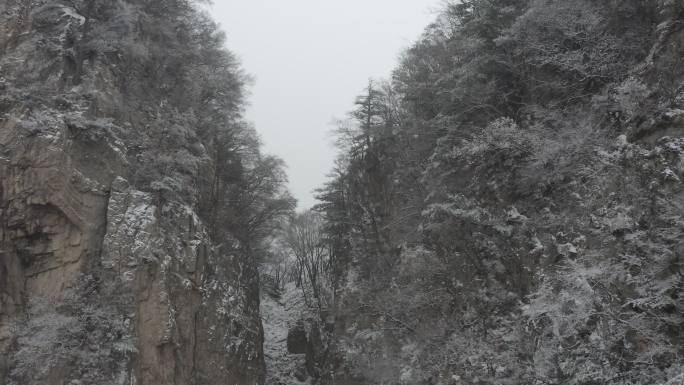 冬季大山雪景下雪空镜航拍