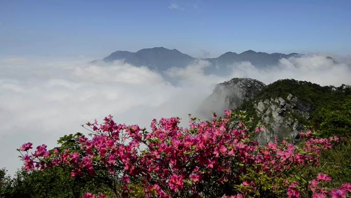 庐山云海 平流雾 日出 大好河山航拍