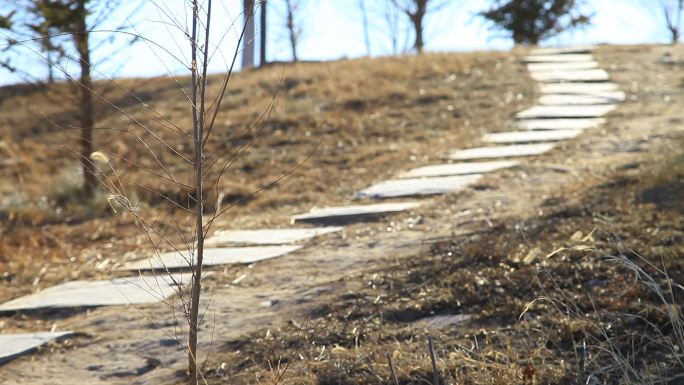 冬季公园里一条石板小路顺坡而下绵延而上