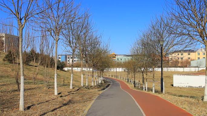 冬季拍摄公园里一条灰色和红色两色步行道