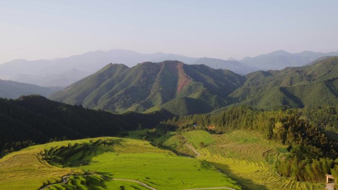 4K航拍-梯田-稻田-高山泉水-广东清远