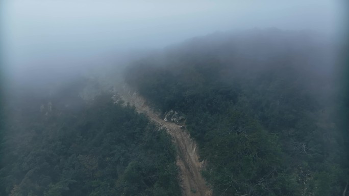 【正版素材】山中道路0132