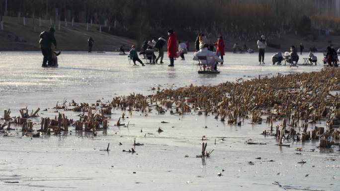 结冰湖面上玩冰爬犁的孩子