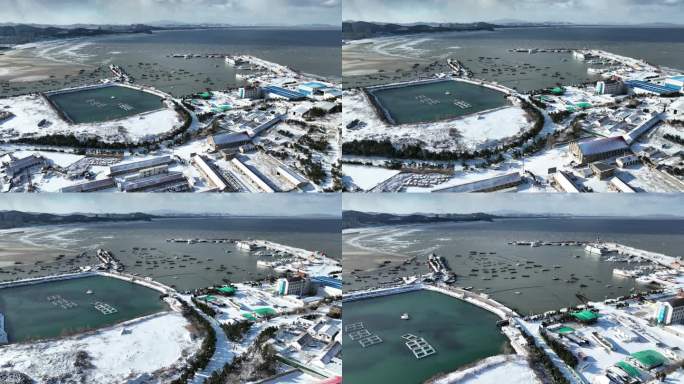 航拍冬季雪后的威海小石岛港湾