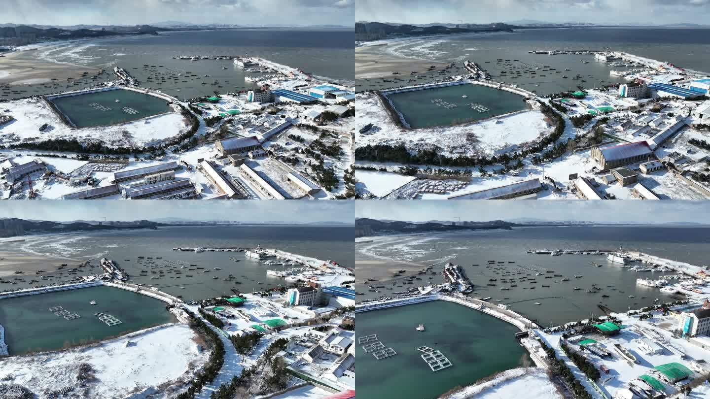 航拍冬季雪后的威海小石岛港湾