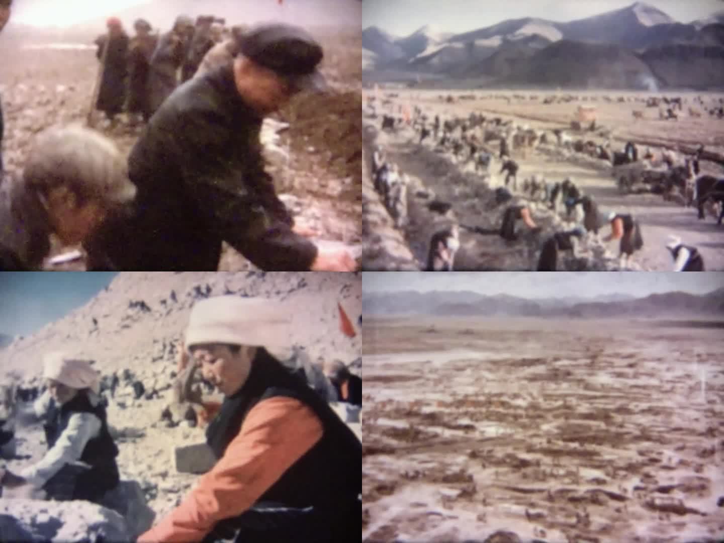 西藏人民学大寨 农田水利建设 列麦精神