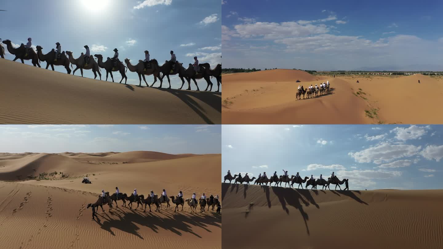 沙漠 腾格里沙漠 骑骆驼 中卫沙坡头
