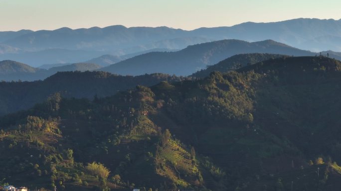 航拍茶山