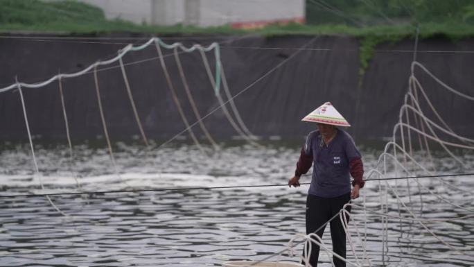 潮汕虾塘水产高清实拍