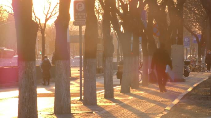 城市街景骑行打拼的人夕阳阳光灿烂都市生活