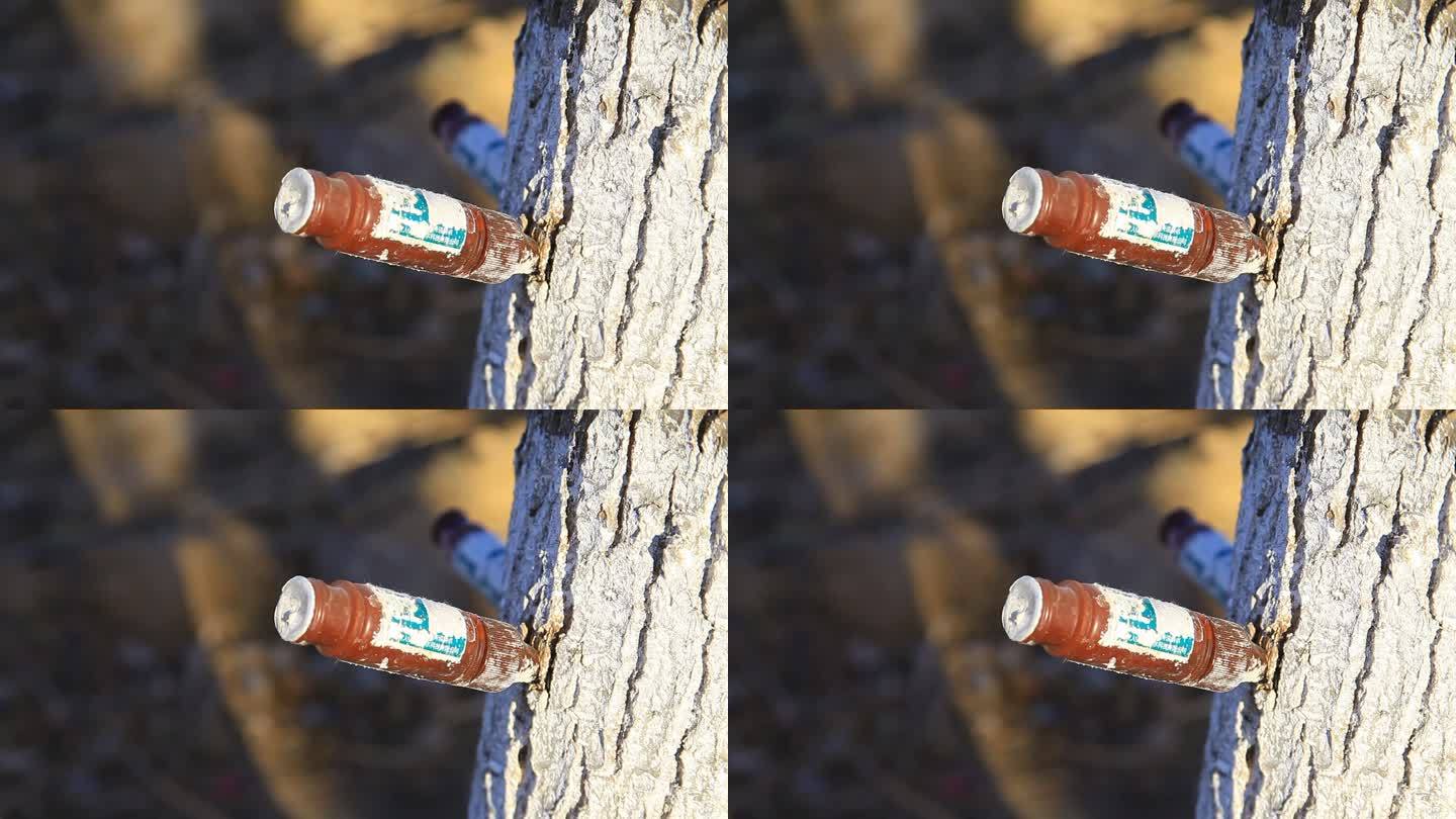 冬季公园树木树身扎着营养针剂素材03