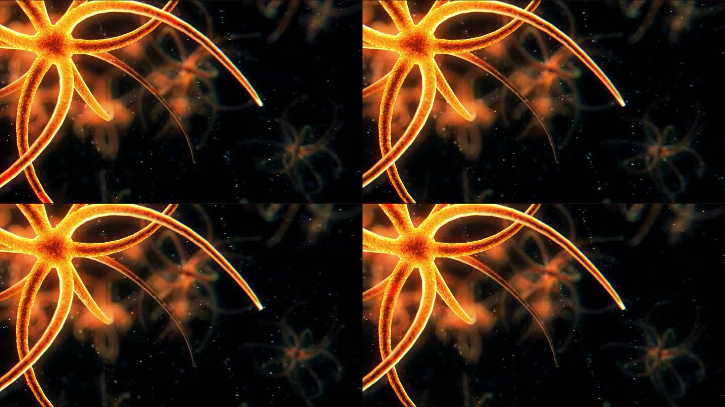 4k三维渲染神经细胞的医学动画