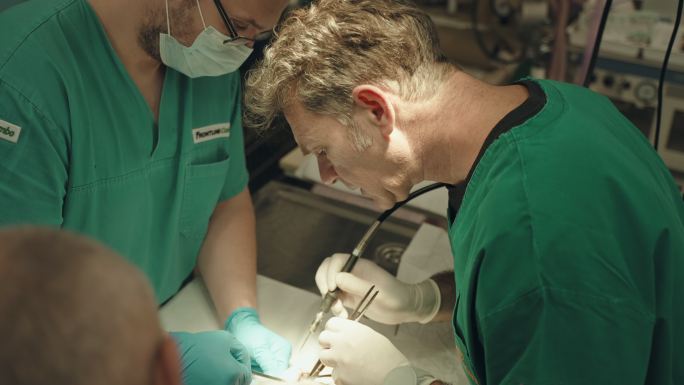 在手术室，专注的兽医为兔子做手术
