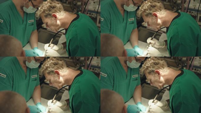 在手术室，专注的兽医为兔子做手术