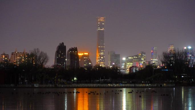 北京CBD夜晚冰面上的倒影和鸭子