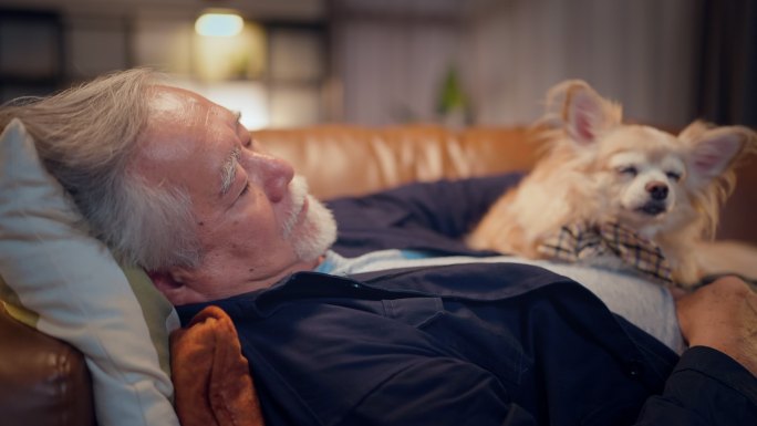 亚洲老年男子躺在家中客厅的沙发沙发上。他有一只吉娃娃棕色的老狗躺在他身上，它也在睡觉