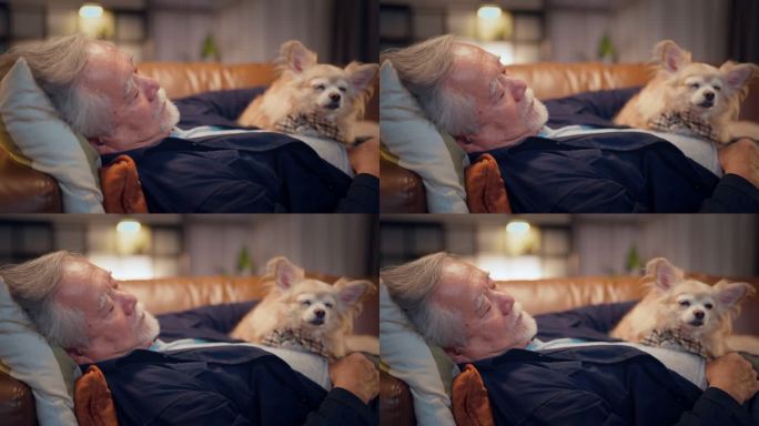 亚洲老年男子躺在家中客厅的沙发沙发上。他有一只吉娃娃棕色的老狗躺在他身上，它也在睡觉