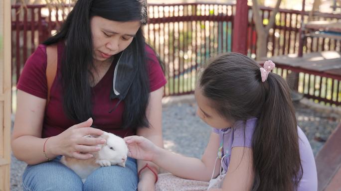 女儿和妈妈抚摸小兔子