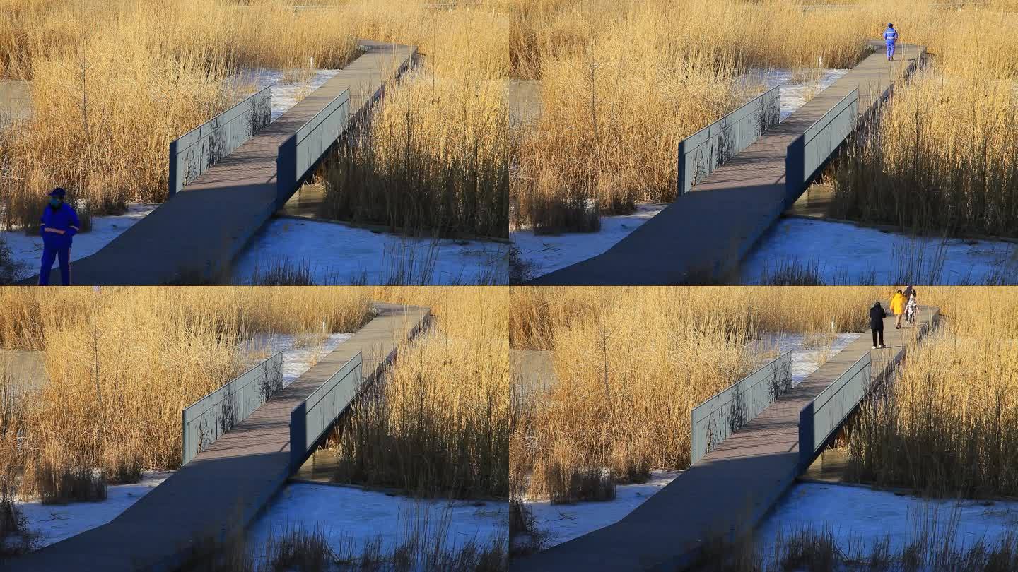 冬季拍摄温榆河公园游人游玩从桥上经过