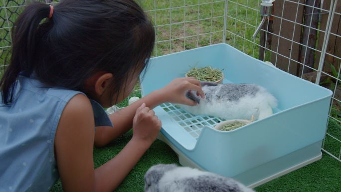 亚洲小女孩在家里带着爱和乐趣照顾和玩可爱的兔子。孩子和宠物是友谊。孩子和她的宠物交流。