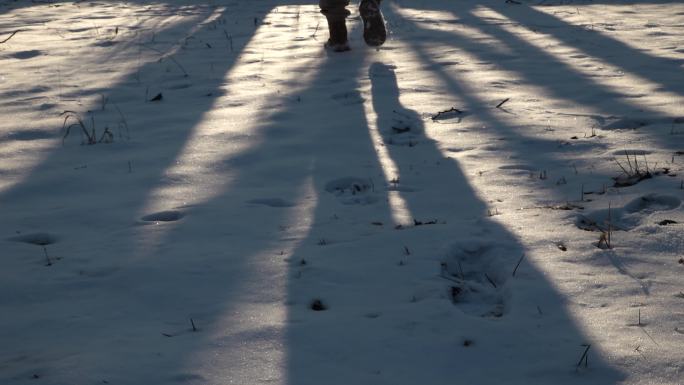 雪地光影踏雪而行雪地脚印行走在雪地上