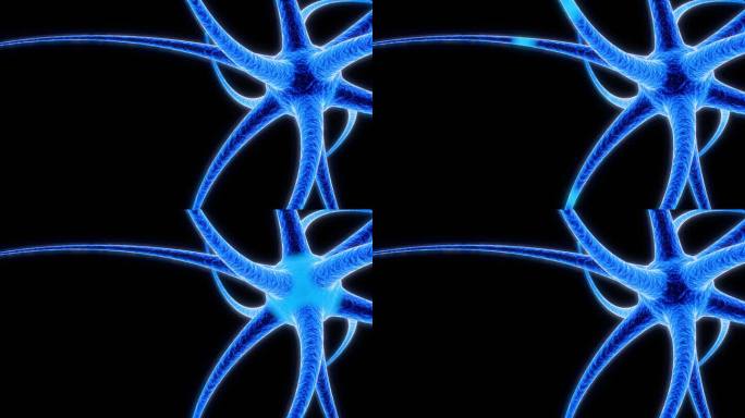 4K三维渲染神经细胞的医学动画