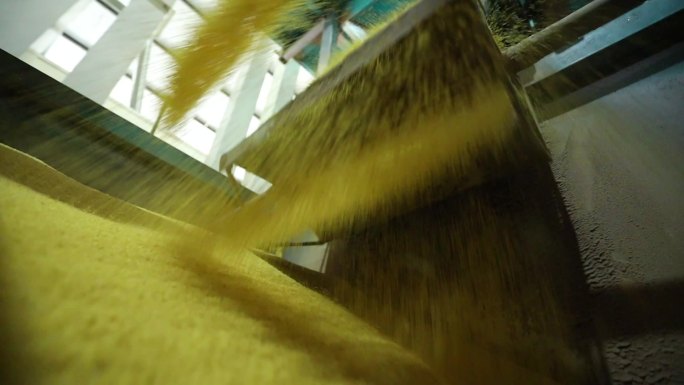 内蒙古 小米产业加工 自动化