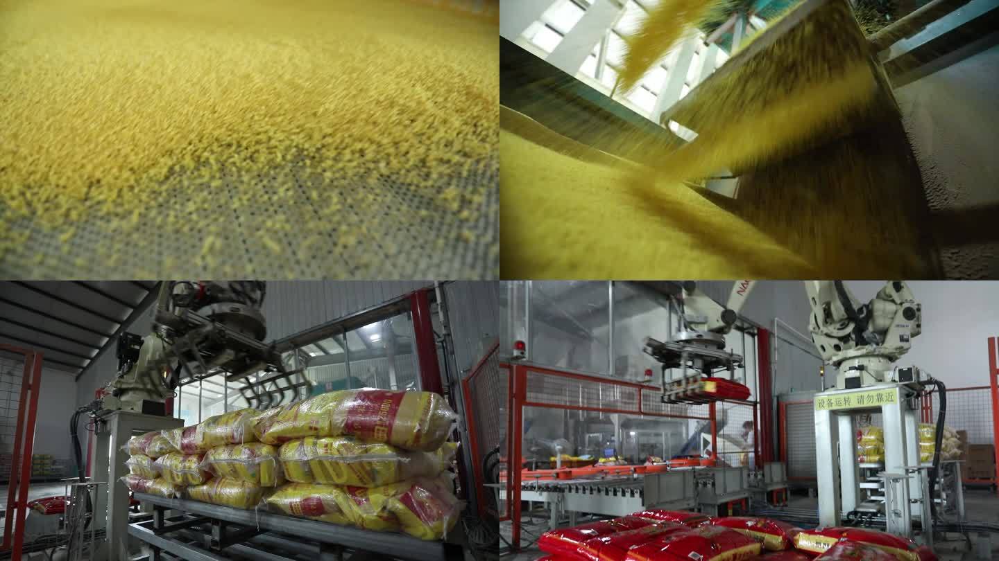 内蒙古 小米产业加工 自动化