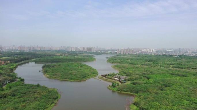 4k成都公园青龙湖生态公园绿洲