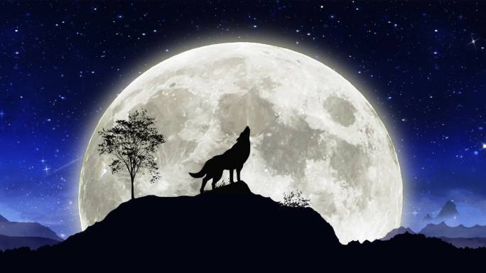 唯美星空月亮狼图腾