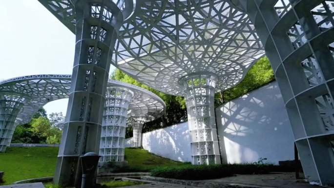 重庆园博园国际园建筑植物花卉光影延时摄影