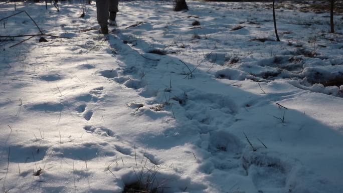 雪地光影踏雪而行雪地脚印行走在雪地上