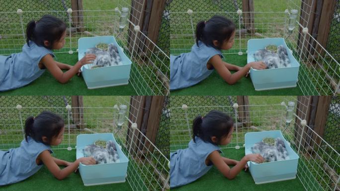 亚洲小女孩在家里带着爱和乐趣照顾和玩可爱的兔子。孩子和宠物是友谊。孩子和她的宠物交流。