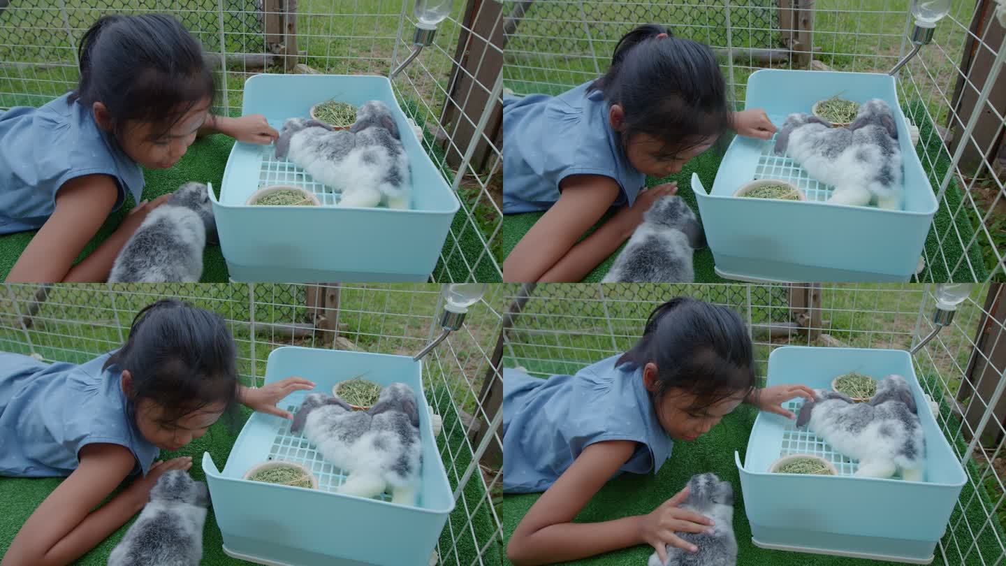 亚洲小女孩在家里带着爱和乐趣照顾和玩可爱的兔子。孩子和宠物是友谊。孩子和她的宠物交流。