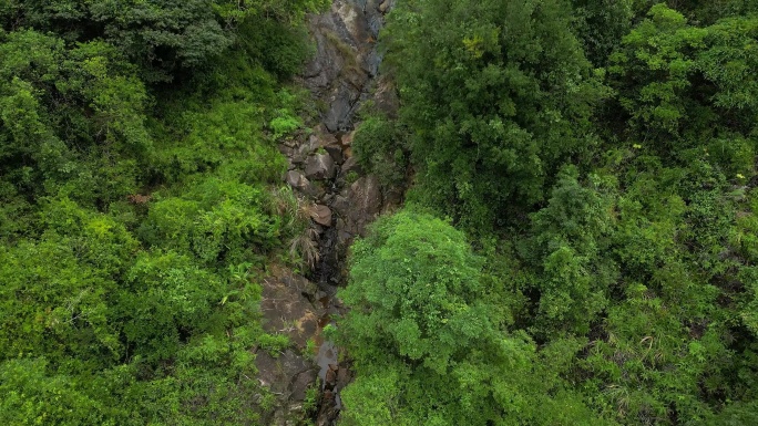 森林小溪流