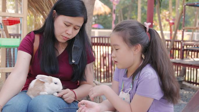 女儿和妈妈抚摸小兔子