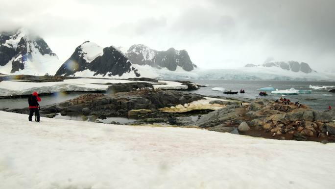 南极洲的摄影师寒冰沿海