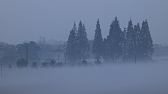 4K农村清晨浓雾延时空镜