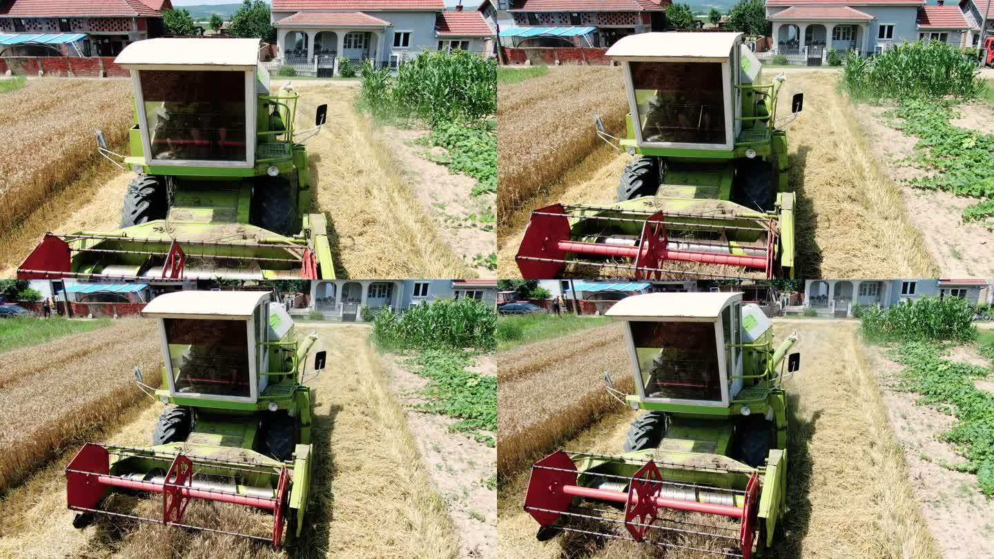 现代联合收割机在农业领域收割小麦的鸟瞰图。库存视频