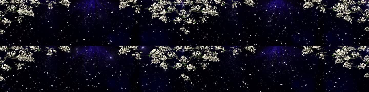 梨花又开放-星空梨花飘落梨花颂