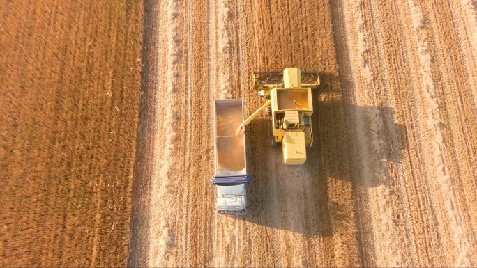 收割。农村收割机成熟小麦智慧农业