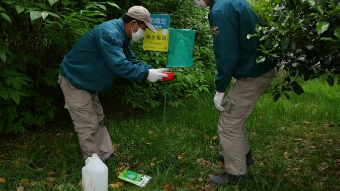 病媒生物防治 除四害  专业团队除害