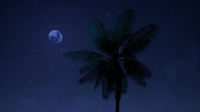 夜晚海边椰子树03
