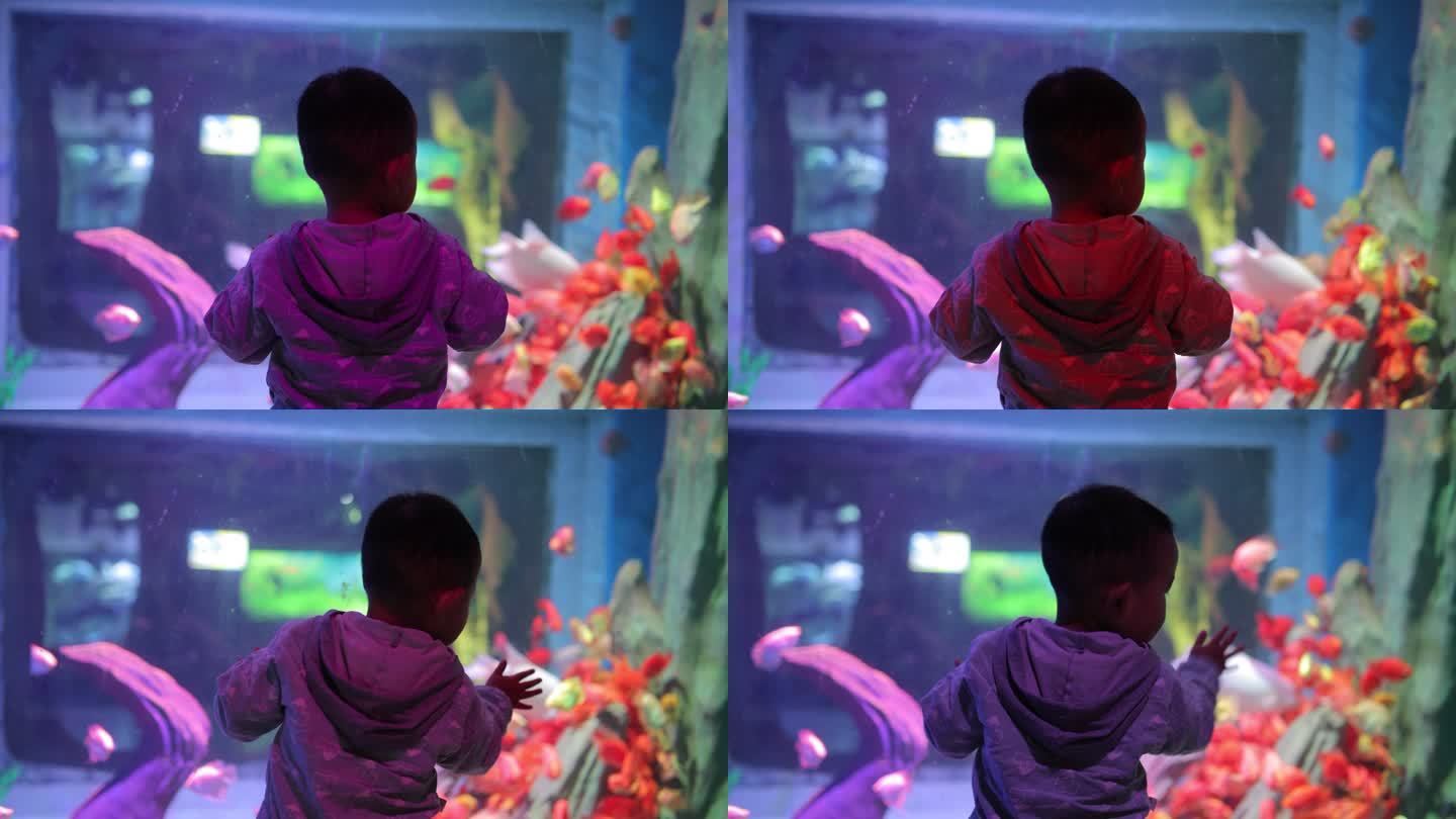 小男孩在水族馆里看鱼