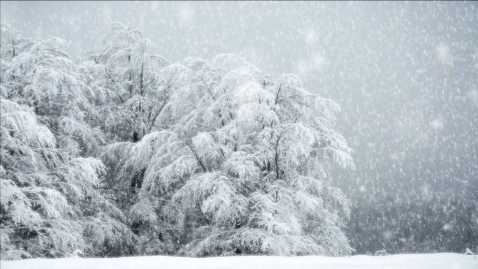 雪花